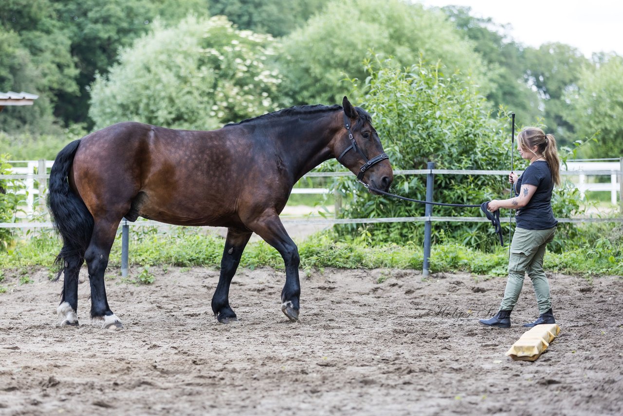 Bild 17 - Vivi